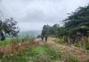 Regantes de Canela incrementan seguridad hídrica gracias a las obras de revestimiento en canal Millahue Uno