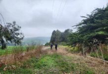 Regantes de Canela incrementan seguridad hídrica gracias a las obras de revestimiento en canal Millahue Uno