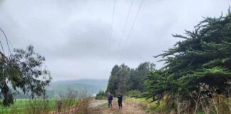 Regantes de Canela incrementan seguridad hídrica gracias a las obras de revestimiento en canal Millahue Uno
