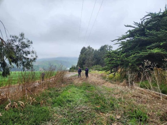 Regantes de Canela incrementan seguridad hídrica gracias a las obras de revestimiento en canal Millahue Uno