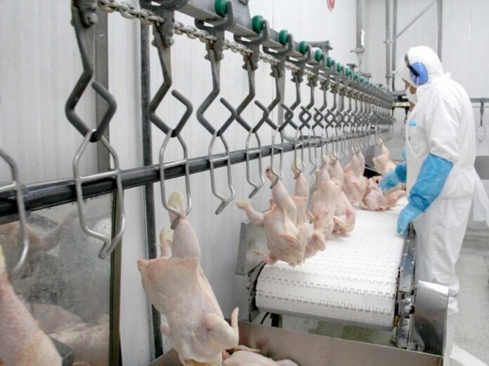 SAG suspende temporalmente importaciones avícolas desde Argentina ante brote de influenza aviar altamente patógena