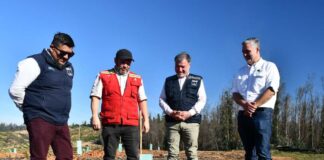 Se plantarán 70.000 árboles nativos Más de 40 % de avance registra reforestación en la Reserva Nacional Lago Peñuelas
