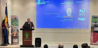 Seminario de PEFC en Concepción destacó la urgencia de políticas integradas para un desarrollo forestal sostenible