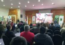 Seminario internacional sobre biomasa y biocombustibles reúne a expertos en el Biobío para proyectar el desarrollo del sector energético forestal