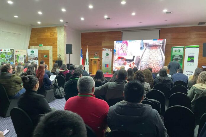 Seminario internacional sobre biomasa y biocombustibles reúne a expertos en el Biobío para proyectar el desarrollo del sector energético forestal