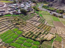 Tarapacá será sede del II Seminario Internacional sobre tecnología y saberes ancestrales