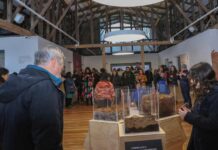 Turberas: un tesoro escondido en la Patagonia abrió sus puertas al público en el Museo Regional de Aysén