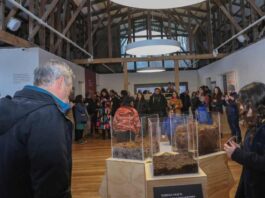 Turberas: un tesoro escondido en la Patagonia abrió sus puertas al público en el Museo Regional de Aysén