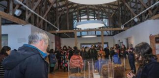 Turberas: un tesoro escondido en la Patagonia abrió sus puertas al público en el Museo Regional de Aysén