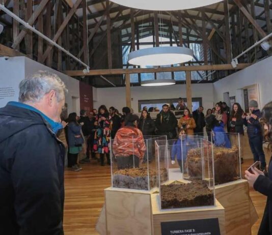 Turberas: un tesoro escondido en la Patagonia abrió sus puertas al público en el Museo Regional de Aysén