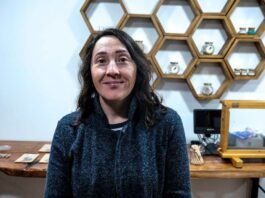 USM impulsa tecnología para purificar cera de abejas y proteger la salud apícola