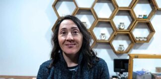 USM impulsa tecnología para purificar cera de abejas y proteger la salud apícola