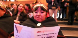 Un estudio histórico vincula el origen de las papas fritas a una fiesta en Nacimiento, en la región del Biobío