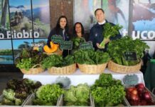 Feria Campesina Biobío tiene nueva ubicación en Los Ángeles