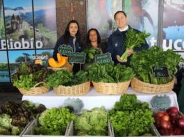 Feria Campesina Biobío tiene nueva ubicación en Los Ángeles