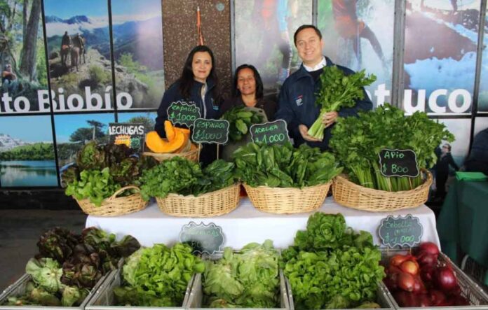 Feria Campesina Biobío tiene nueva ubicación en Los Ángeles