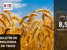 INE Biobío publica cifras de molienda de trigo correspondiente a julio de 2025