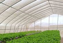 Agricultores de Mejillones buscan diversificar negocio y ser centro de distribución local
