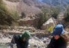 CONAF plantó más de 400 árboles en camino al Santuario de las Virgen de las Peñas