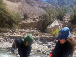 CONAF plantó más de 400 árboles en camino al Santuario de las Virgen de las Peñas