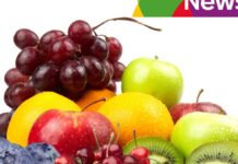 ProChile: Exportadores chilenos buscan ampliar presencia de frutas frescas en Panamá