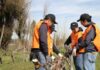 UTalca celebra la Fiesta de la Poda en Colchagua vinculando tradición, academia y territorio