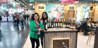 ¿Cómo se percibe el vino chileno en el mundo?