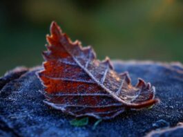 ¿Frío, lluvias, sol? Cómo viene lo que queda de invierno 