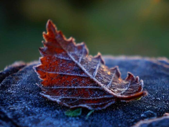 ¿Frío, lluvias, sol? Cómo viene lo que queda de invierno 