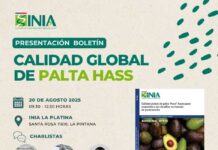 ¿Produces y exportas palta? Este seminario es para ti