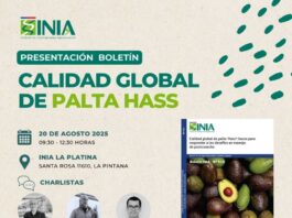 ¿Produces y exportas palta? Este seminario es para ti