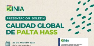 ¿Produces y exportas palta? Este seminario es para ti