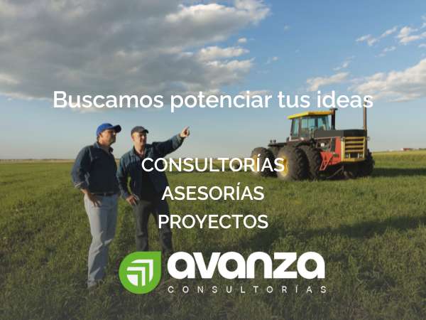 AVANZA CONSULTORIAS