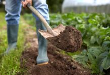 Abren segundo concurso para mejorar fertilidad de suelos en Los Ríos con $1.232 millones