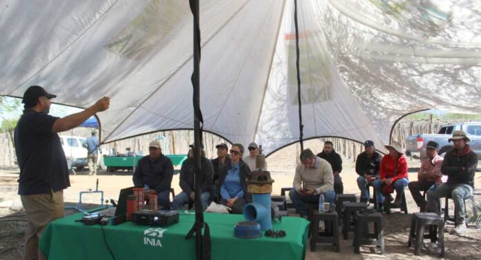 Agricultores se capacitan en eficiencia de equipos de riego