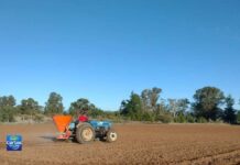 Alfalfa Kauke: Innovación nacional para el secano ante la sequía