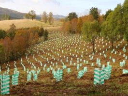 Amplían plazo de postulación al concurso público de cambio climático