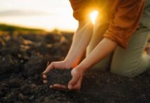 Azolem: El Bioestimulante Que Impulsa la Economía Circular y el Rol de la Mujer Rural en la Agricultura Chilena