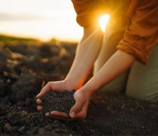 Azolem: El Bioestimulante Que Impulsa la Economía Circular y el Rol de la Mujer Rural en la Agricultura Chilena