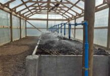 Biofertilizante líquido a través de la Lombricultura intensiva para la Producción de Arándanos