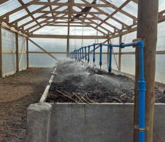 Biofertilizante líquido a través de la Lombricultura intensiva para la Producción de Arándanos