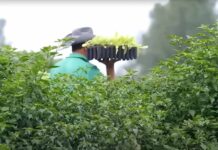 Brecha entre solicitudes migratorias y oferta laboral rural tensiona al agro chileno