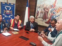 CONAF, SAG y Municipio de Arica impulsarán estrategia conjunta para combatir la mosca de la fruta