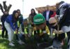 CONAF lanza campaña informativa para evitar las cortas ilegales de bosque