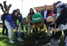 CONAF lanza campaña informativa para evitar las cortas ilegales de bosque