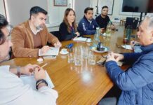 CONAF refuerza coordinación con Perú para frenar tráfico internacional de especies