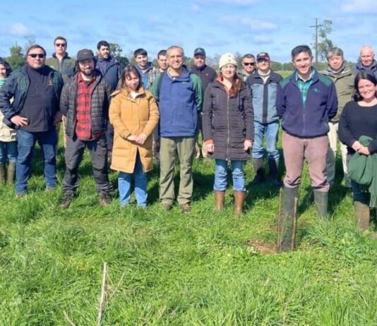 CONAF y APROVAL AG fortalecen trabajo para la restauración de bosques nativos a gran escala en predios ganaderos