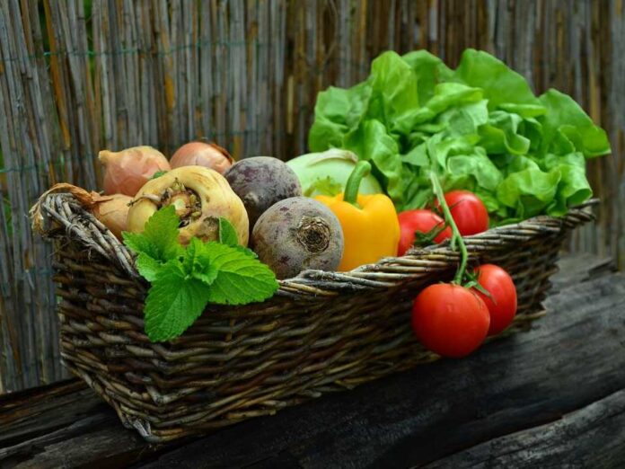 Cajas de Suscripción de Productos Frescos: Un Mercado en Crecimiento