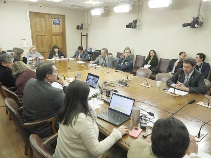 Cámara: Comisión de Agricultura analizó realidad nacional de la apicultura