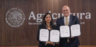 Chile y México acordaron la apertura de mercado para las naranjas chilenas